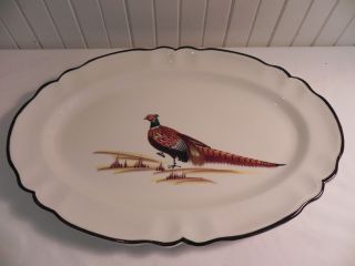 Norleans Made In Italy Pheasant Hand Painted Large Oval Platter 3