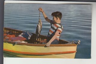 Boy With Stringer Of Fish Greetings From Grahamsville Ny