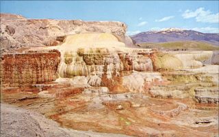 Terraces Mammoth Hot Springs Yellowstone National Park Wyoming 1960s