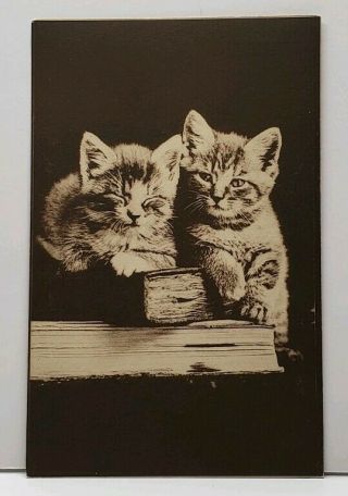 Kittens With Books Adorable Cats Vintage Postcard F20