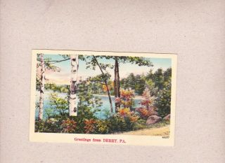 Vintage Postcard Greetings From Derry Lake Scene White Birch Trees