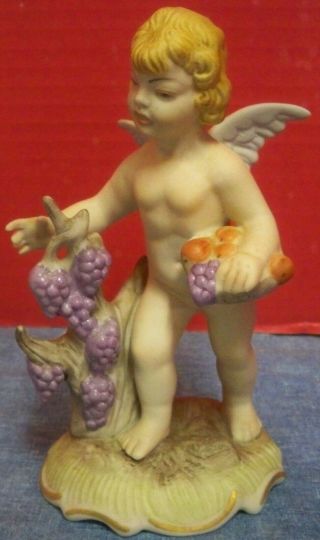 Dresden Bisque Porcelain Seasons Cherub Figurine Grapes Germany 6 " Tall Angel