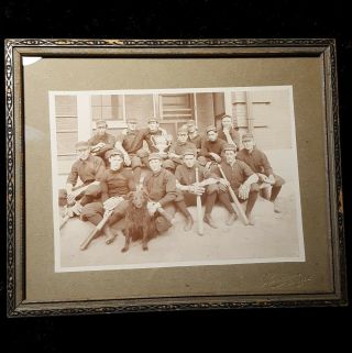 Vtg - Antique 1900 - 19 E Harlem Baseball Team W/dog & Trophy York City