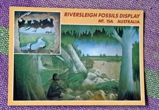 Rare Vintage Post Card.  Riversleigh Fossils Display Mt.  Isa Australia
