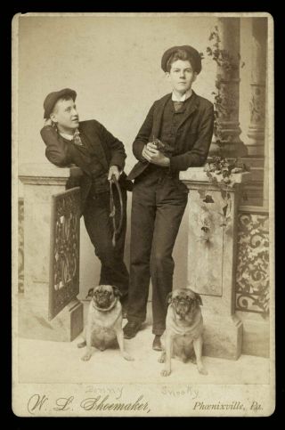 Vintage Lads & Pug Dogs Cabinet Photo 1890s By Shoemaker Phoenixville Pa