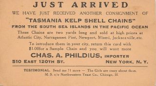 Tasmania Kelp Shell Chains Chas A Phildius Importer York South Sea Islands