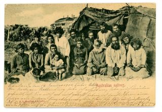 1900 South Australia Court Size Postcard Of Australian Natives
