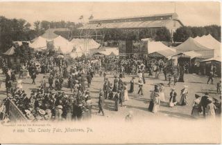 Scene At The County Fair Allentown Pa Postcard 1905