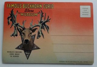 San Antonio Fold - Out Postcard Folder Of Buckhorn Curio Store & Museum