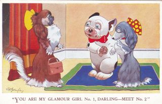 Studdy - Bonzo Dog " You Are My Glamour Girl No.  1 ",  Valentines 4593