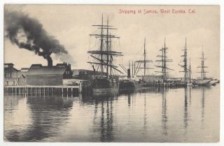 1909 West Eureka,  California - Wharf And Tall Ships At Samoa,  Humboldt County