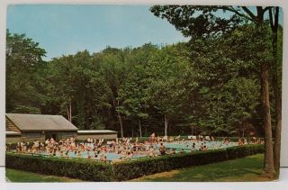 York Fancher Pool,  Quaker Run Area Allegheny State Park 1960s Postcard E14