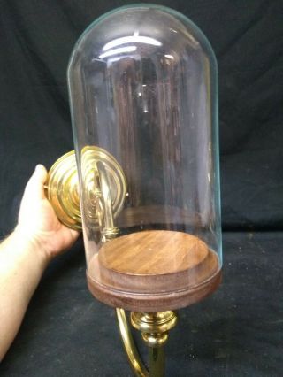 BRASS SIDESHOW W/DOME DISPLAY CASE,  CURIO,  GAFF,  CIRCUS,  ODDITY,  COLLECTABLE,  SHELF 4