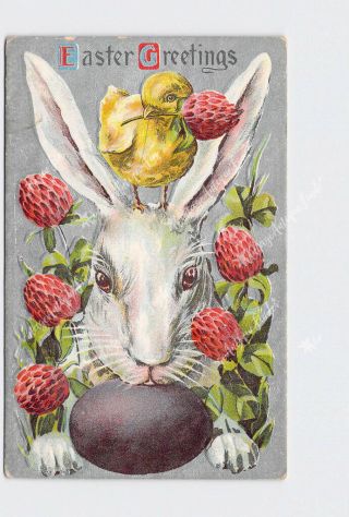 Ppc Postcard Easter Greetings Bunny Rabbit Chick Clover Egg Silver Background Em