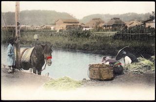 Japan C.  1906 Daily Life Village Scene - Horse & People Washing Clothes At Pond