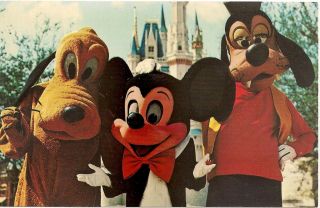 Pluto,  Mickey And Goofy At Walt Disney World Fl Postcard