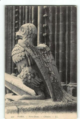 Paris France Postcard 1901 - 1907 Notre Dame Cathedral Chimere