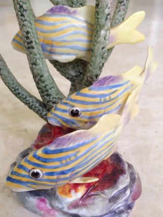 Lovely Pre - Owned Royal Worcester " Yellow Grunt " 3 Fish Swimming In Coral Reef