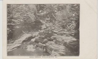 Mill Creek,  Hillsgrove,  Pa Postcard Postmarked 1908