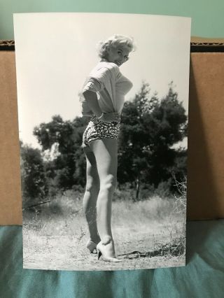 1950’s Pin Up,  4x6 Photo - Black & White Photo.  8
