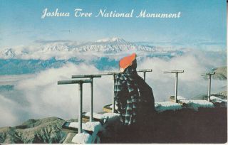 Joshua Tree National Monument - Riverside - San Bernardino Counties - Ca