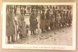 Wwi Postcard•war/red Cross Dog And Soldier•uniform•handlers•sanitätshunde 1916