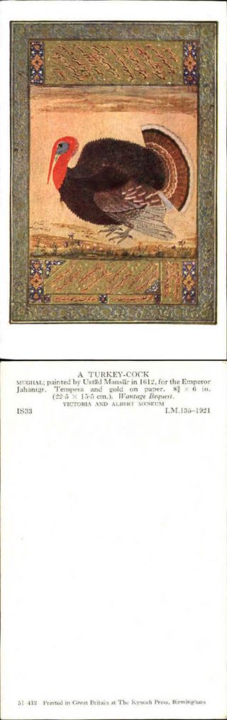 Turkey Cock Bird Mughal Art Painting On Paper 1612 Victoria & Albert Museum Card