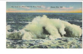 Vintage Postcard Ocean City Md Maryland Crest Of Wave From Briny Deep Linen