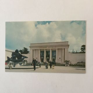 Steinhart Aquarium California Academy Of Science Golden Gate Unposted Postcard