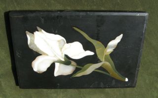 Antique Italian Pietra Dura Inlaid Stone Marble Paperweight Plaque Iris Flower