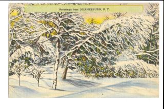 Vintage Color Print Linen Postcard Greetings From Duanesburg Ny Snow Trees Scene