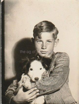 A Boy And His Dog Found Photo Bw Portrait Vintage 98 8 A