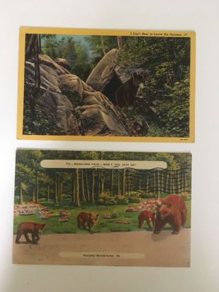 2 Vintage Postcards Of Bear In The Pocono Mountains Of Pa