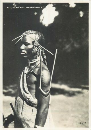 Ethiopia Dancalia Native Real Photo Postcard Ethnic Horn Of Africa