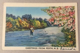 Greetings From Perth Nb Canada Vintage Linen Postcard - Man Fishing In River