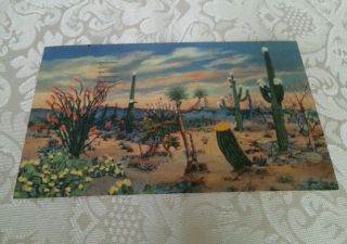 Vintage 1950s Postcard: " Day Break On The Desert " Arizona Colortone