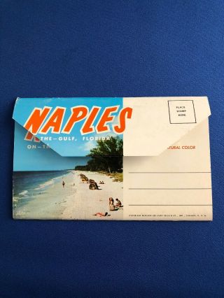 Vintage Postcard Booklet.  Naples Florida.  14 Views In Natural Color
