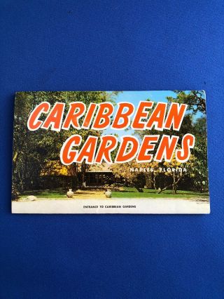 Vintage Postcard Booklet.  Naples Florida.  14 Views In Natural Color 2