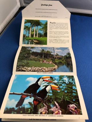 Vintage Postcard Booklet.  Naples Florida.  14 Views In Natural Color 3
