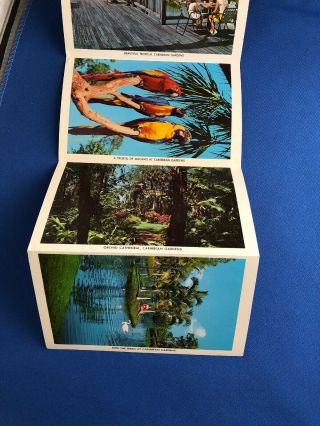 Vintage Postcard Booklet.  Naples Florida.  14 Views In Natural Color 4