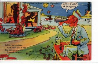 Comic,  " Wish I Was A Dog " - Artist Ray Walters,  Vintage Postcard
