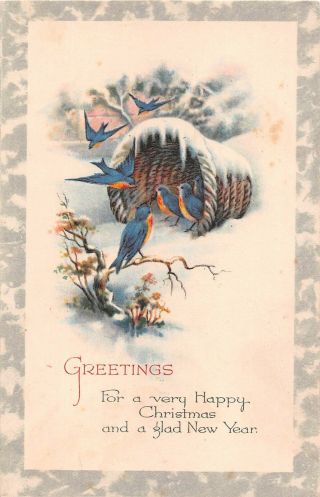 Bluebirds With Basket In Snow On Old Christmas Postcard - The Gibson Art Co.