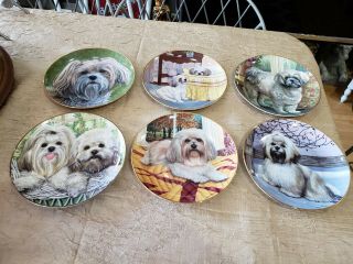 Lhasa Apsos Dog Collectors Plates By Danbury By Patricia Bourque Set Of 6