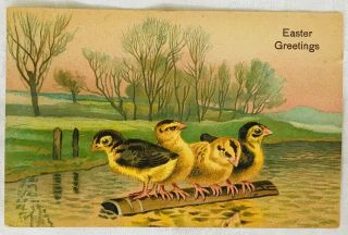 Antique Embossed Easter Postcard By E.  B.  - Birds On A Floating Log - 1908