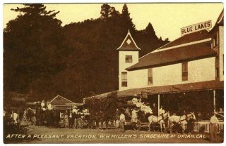 C.  1910 W.  H.  Miller Of Ukiah Stage Line@blue Lakes Hotel,  Lake County,  Ca Postcard
