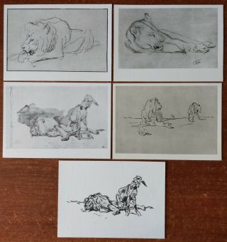 Set Of 5 Postcards Animals Lion Wolf Donkey Graphic Drawing Russian Art V.  Serov