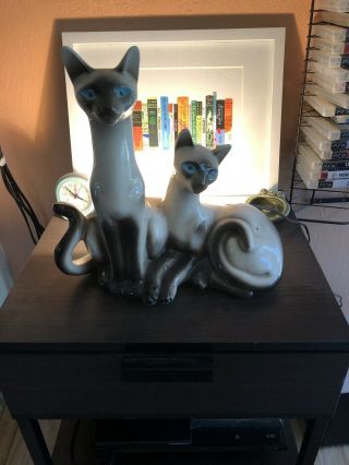 Siamese Cats Mid Century Tv Lamp Lane And Co.