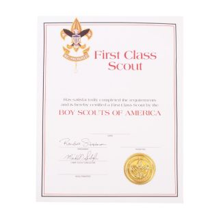Bsa Boy Scout Official Licensed First Class Scout Award Certificate 8.  5 X11 "