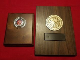 2 Order Of The Arrow Award Plaques Nos W/ Engravable Plates