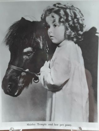 Shirley Temple And Her Pet Pony 8×10 Black & White